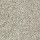 Horizon Carpet: Tonal Allure II Carolina Shore